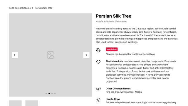 Food Forest plant profile wireframe with scientific name, plant facts, growing information, and related species